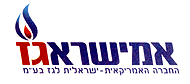 לקוח 13